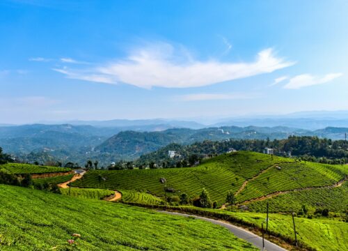 3 Night 4 Days Munnar / Alleppey, Kumarakam Tour Package