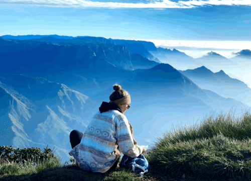 5 Night 6 Munnar / Thekkady / Varkkala Tour Package