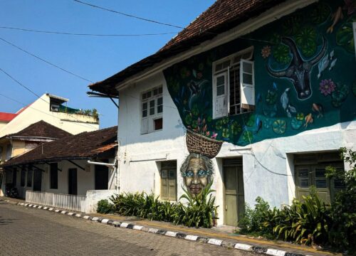 3Night 4 Days Cochin / Athirappaly  / Munnar Package