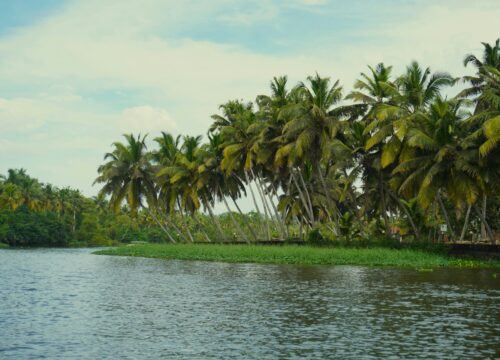 7 Night 8 Days / Munnar / Thekkady / Alleppey / Poovar, kovalam / Kanyakumari Tour Package