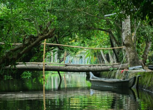 5 Night 6 Days Munnar / Thekkady / Alleppy Tour Package