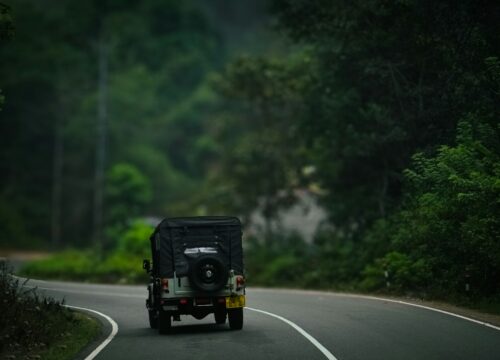 3 Night 4 Days Munnar / Thekkady Tour Package